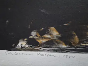 Gerbrand Volger - Grote kleuren lithografie "duikvlucht" - beperkte oplage (60) - gesigneerd kopen? Bied vanaf 37!