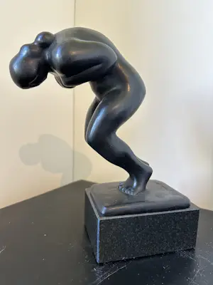 Nic Jonk - SALTO kopen? Bied vanaf 1500!
