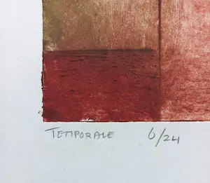 Frank Porcelijn - Temporale, aquatint ets kopen? Bied vanaf 40!