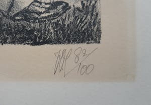 Peter Vos - The Old Man of Whitehaven kopen? Bied vanaf 100!