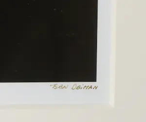 Ben Deiman - Foto, Serendipity - Ingelijst kopen? Bied vanaf 50!