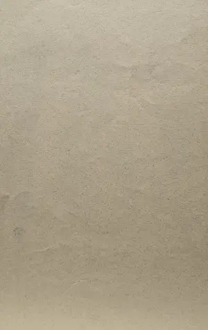 Chris Le Roy - Jonge Gierzwaluw kopen? Bied vanaf 35!