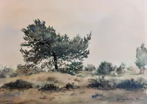 Jan A. Louwers - Loonse en Drunense duinen kaufen? Bieten Sie von 10!
