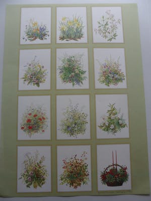 Janneke Brinkman-Salentijn - Litho, Bloemen. kopen? Bied vanaf 10!