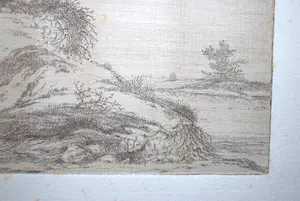 Niet of onleesbaar gesigneerd - jeneverbessen in duinlandschap - fraai uitgewerkte ets ca. 1900 kopen? Bied vanaf 1!