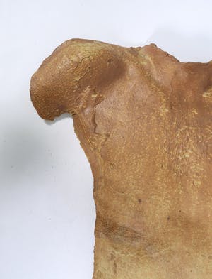 Nico van Ravenstein - Keramieken wandobject, Torso kopen? Bied vanaf 200!