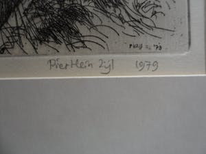 Piet Hein Zijl - Droge naald. Titel, Linschoten. kopen? Bied vanaf 20!