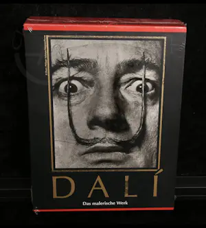 Salvador Dali - “Das malerische Werk". Complete ouvre in 2 cassettes. kopen? Bied vanaf 40!