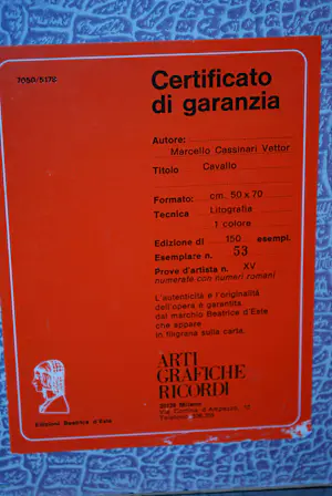 Marcello Cassinari Vettor - Cavallo - steigerend paard - grote litho, oplage 53/150 kopen? Bied vanaf 60!