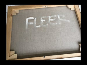 Els Fleer - Pasteus Palet kopen? Bied vanaf 120!