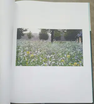 Marc Mulders - Secret Garden (gesigneerd en met originele tekening) kopen? Bied vanaf 70!