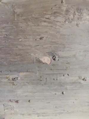 Bram Bogart - Huis bij nacht kopen? Bied vanaf 1000!