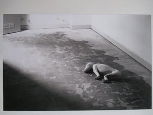 Mark Manders - Tryptiek Sonsbeek 1993 kopen? Bied vanaf 300!