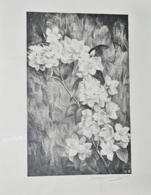 Aart van Dobbenburgh - Litho - Bloesemtak -1977 kopen? Bied vanaf 35!