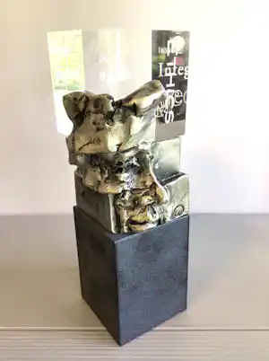 Ad Haring - Sculptuur / Afstudeer plaat Erasmus Universiteit verkauft für € 89!