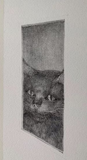 Peter Vos - Vreemde vogels met kat op de loer. kopen? Bied vanaf 55!