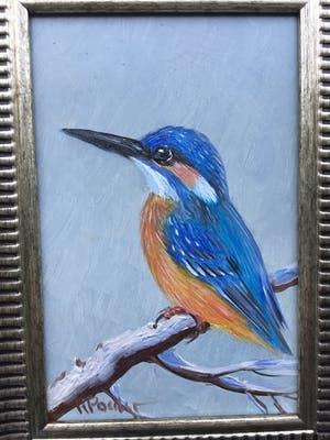 Henk Poeder - Vogeltjes kopen? Bied vanaf 79!
