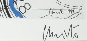 Christo - Handgesigneerd exemplaar Over the river - Ingelijst kopen? Bied vanaf 1!