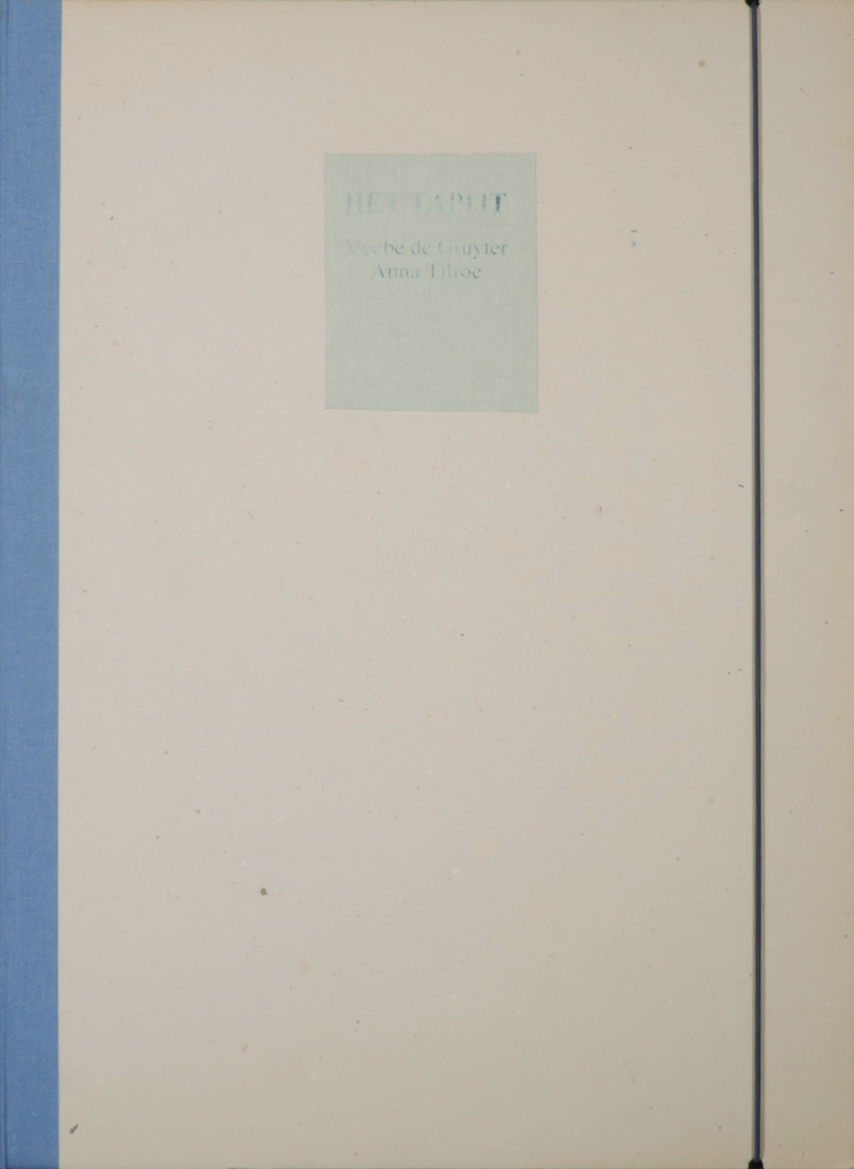 Voebe de Gruyter - Verzameld werk in samenwerking met Anna Tilroe, Het Tapijt kopen? Bied vanaf 50!