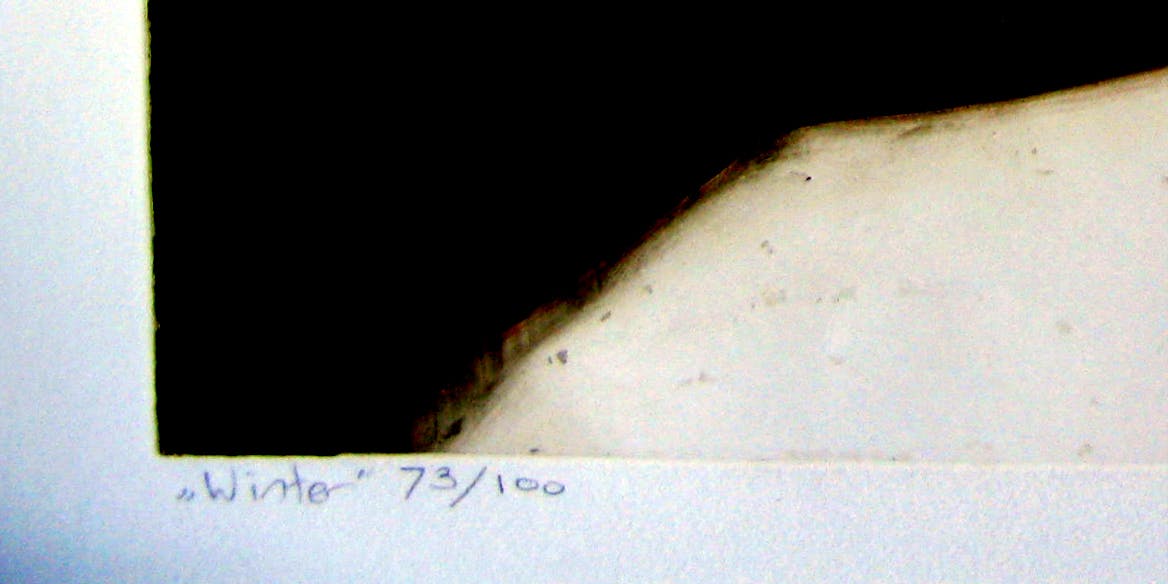 Laetitia de Haas - WINTER kopen? Bied vanaf 20!