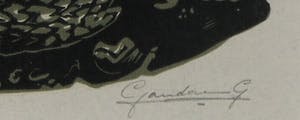 Niet of onleesbaar gesigneerd - Houtsnede, Schildpadden - Ingelijst kopen? Bied vanaf 10!