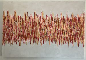 John Foppen - Rapsody In Gold + Red. ...... # K02 . XL. kopen? Bied vanaf 169!