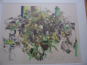 Kenneth Daley - etsen, Aquatint .titel, "Philodendron". kopen? Bied vanaf 10!