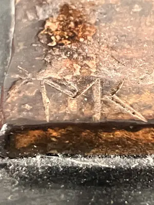 Marian Kievits - Vrouw met teckel kopen? Bied vanaf 125!