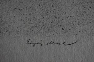 Hans van Dokkum - Het orgaanmonstertje met veren kopen? Bied vanaf 40!