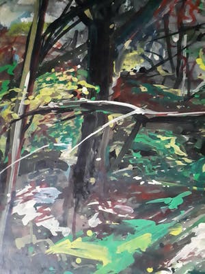 Antoine van der Pas - Z.T. Boslandschap, groot kopen? Bied vanaf 10!