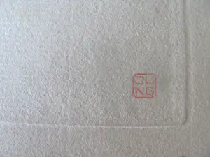 Marius Bauer - Skutari Moskee kopen? Bied vanaf 50!