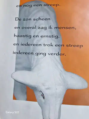 Marjolijn Mandersloot - Een Streep kopen? Bied vanaf 25!