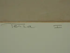 Ron van der Werf - Terra I kopen? Bied vanaf 50!