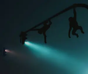 Mr Strange - Verkeerslichten kopen? Bied vanaf 75!