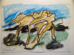 Jan Sierhuis - Tekening krijt kopen? Bied vanaf 1!