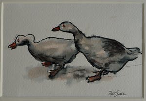 Piet Snel - 2x Aquarel , Ganzen kopen? Bied vanaf 35!