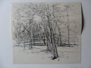 Tjeng Sit Oey - Pen of inkttekening van Bomen kopen? Bied vanaf 20!