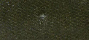 Jan Duinker - Olieverf op doek, Man op stoel met hond - Ingelijst kopen? Bied vanaf 1!