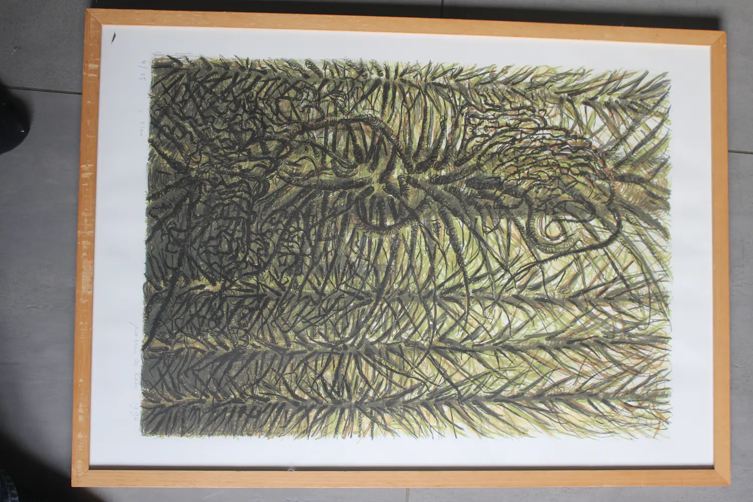 Jacobien de Rooij (1947)