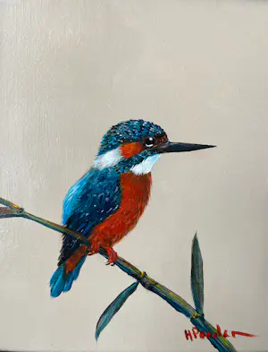 AcheterHenk Poeder - IJsvogel? Enchérissez de 119!