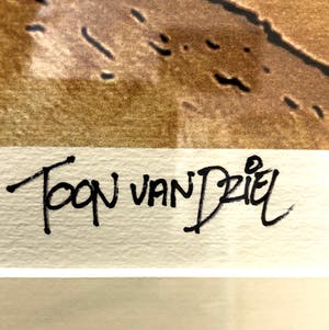 Toon van Driel - Wilt u die tand uit mijn oog halen? kopen? Bied vanaf 75!