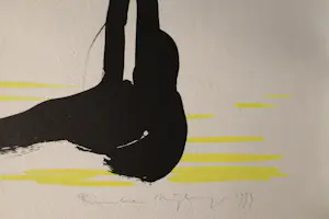 Rinke Nijburg - Kleurenlitho - Oplage 22/55 - Zeefdruk kopen? Bied vanaf 35!