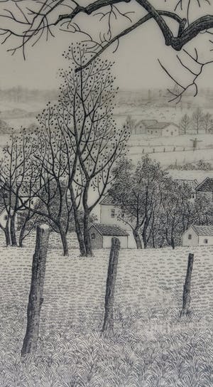 Toine Corstjens - Hoogstam kopen? Bied vanaf 195!