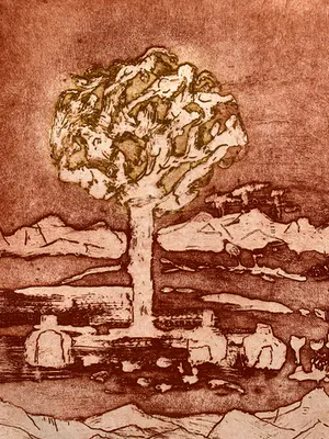 Jan Montyn - kleurenets - 'Sierra Rosario' - 1999 (KLEINE OPLAGE) kopen? Bied vanaf 1!