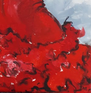 Anke Peddemors - flamencodans kopen? Bied vanaf 75!