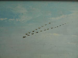 Niet of onleesbaar gesigneerd - Olieverf op paneel , “Strand Muiderberg” – gesigneerd & ingelijst - 1989 kopen? Bied vanaf 10!