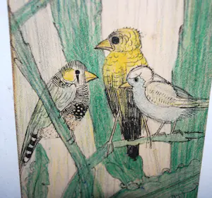 Leo Visser - Vogels - kleurenlitho uit ca. 1928 kopen? Bied vanaf 35!