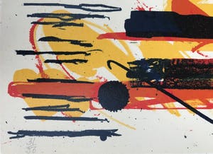 Sam Middleton - Gesigneerde zeefdruk - 1972 - 31/56 kopen? Bied vanaf 55!