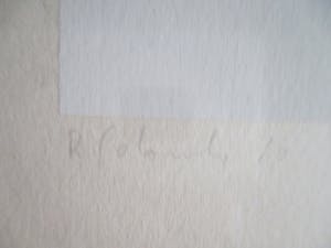 Niet of onleesbaar gesigneerd - Ingelijste zeefdruk kopen? Bied vanaf 1!