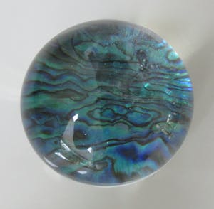 Niet of onleesbaar gesigneerd - Murphy's Nieuw Zeeland - Studio Abalone glazen presse papier kopen? Bied vanaf 10!